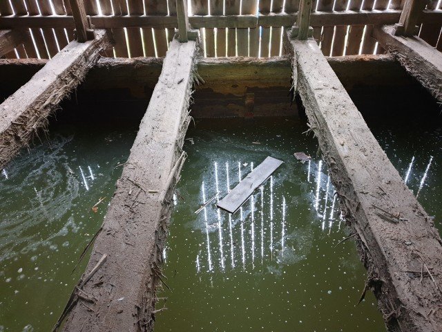 Відстійник Дрогобицької Солеварні. Зелене це щойно викачана з-під землі ропа