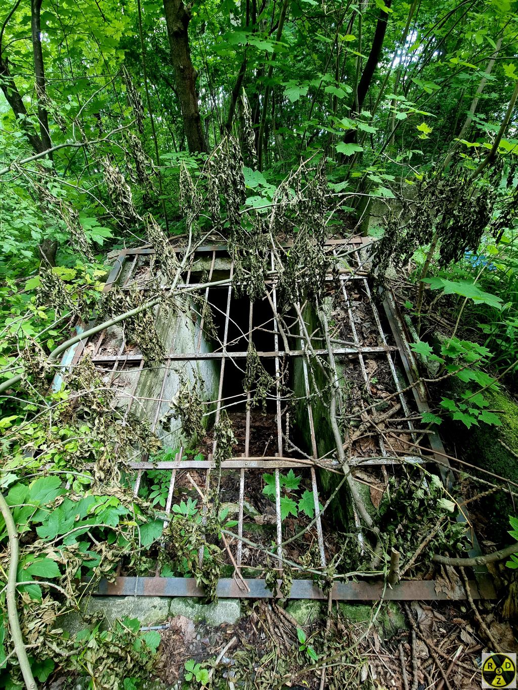 Вхід у Бомбосховище знаходиться в кущах і кропиві