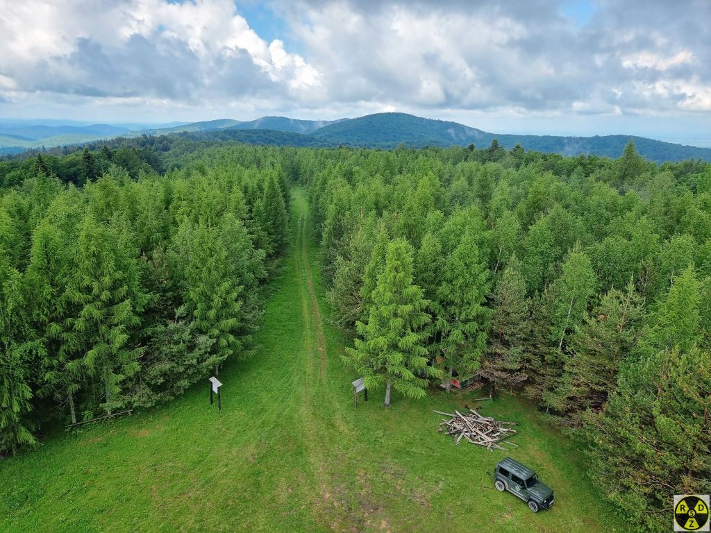 Вид з вежі на Карпати і дорогу якою ми приїхали