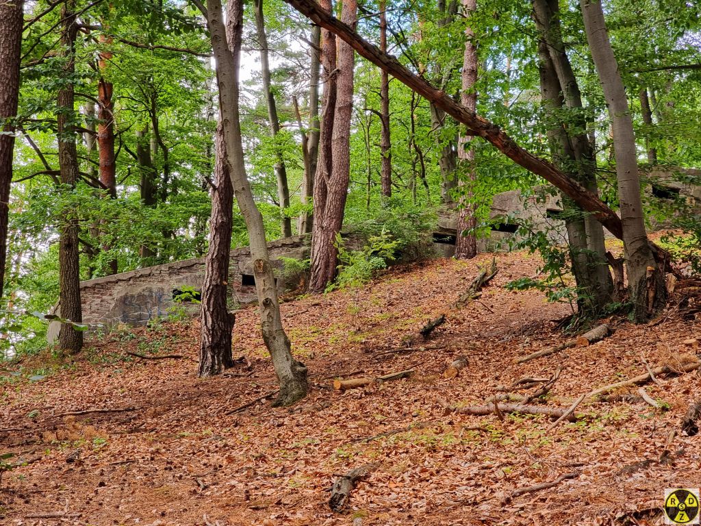 ДОТ коло Брюхович