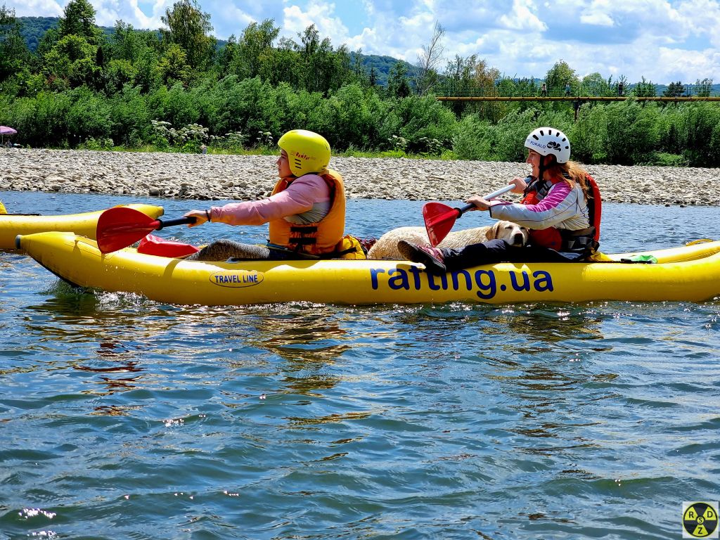 Коли знайомі попросили сплавити собаку на вихідні :)