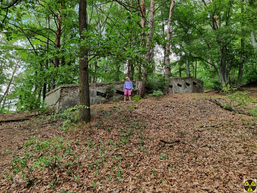 ДОТ що першим зустрічає відвідувачів