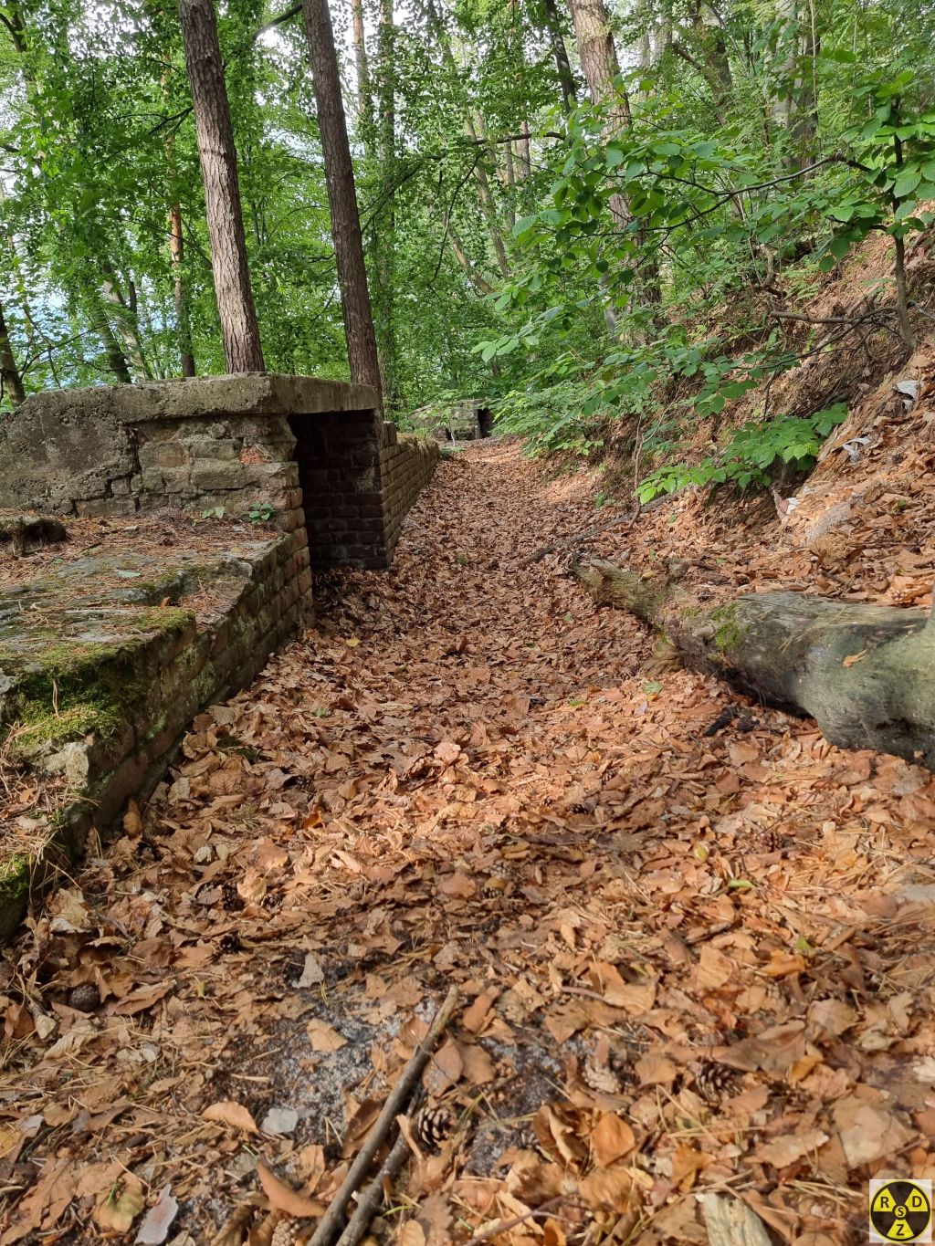 Дорога до наступного ДОТ-у