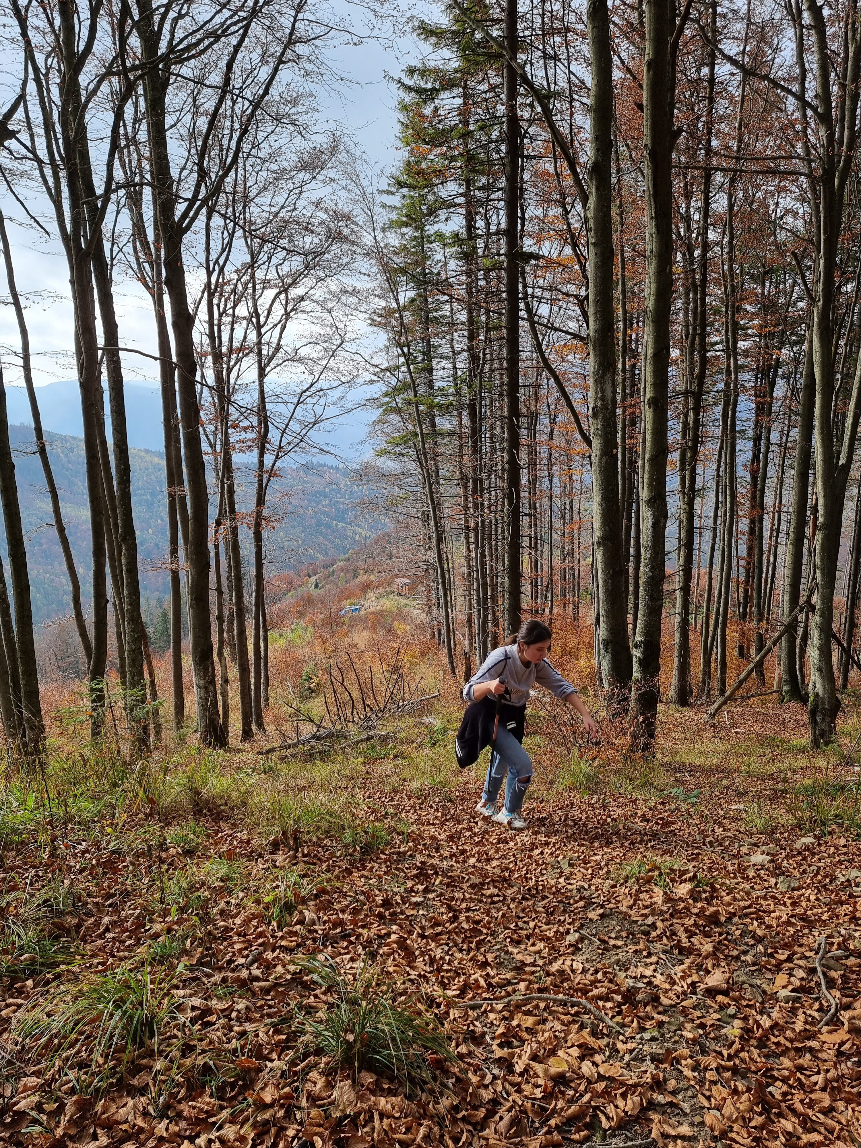 Підйом від будки на Хребет
