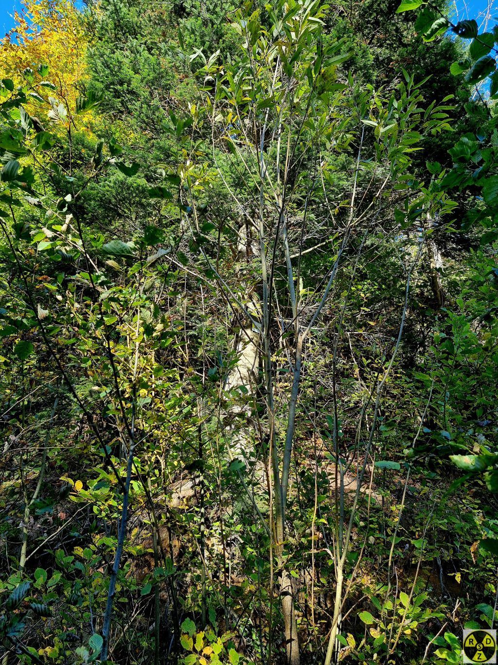 Бачите маркування? А воно там є!