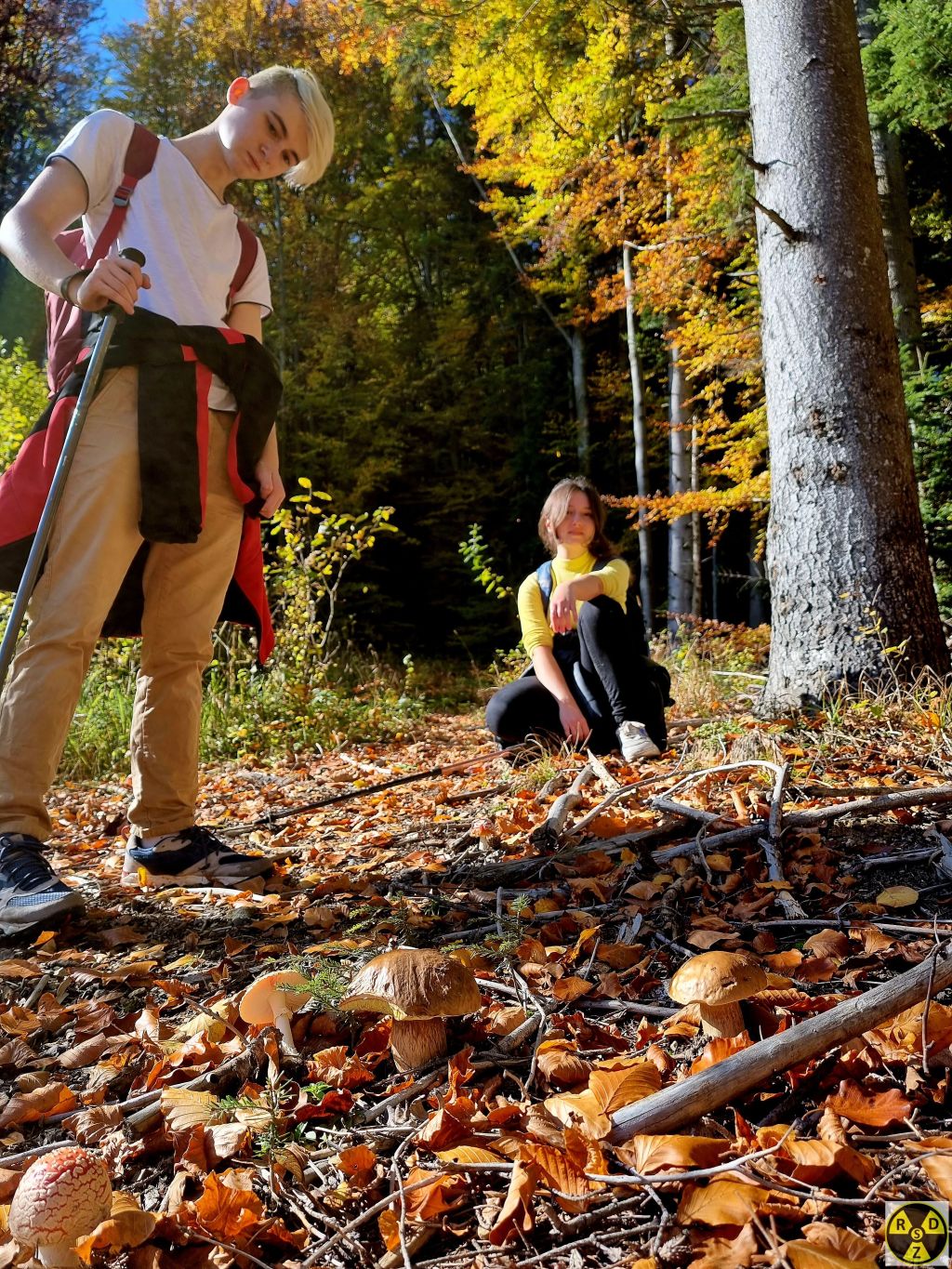 Зато тет ніхто не ходить і гриби прямо на дорозі ростуть!