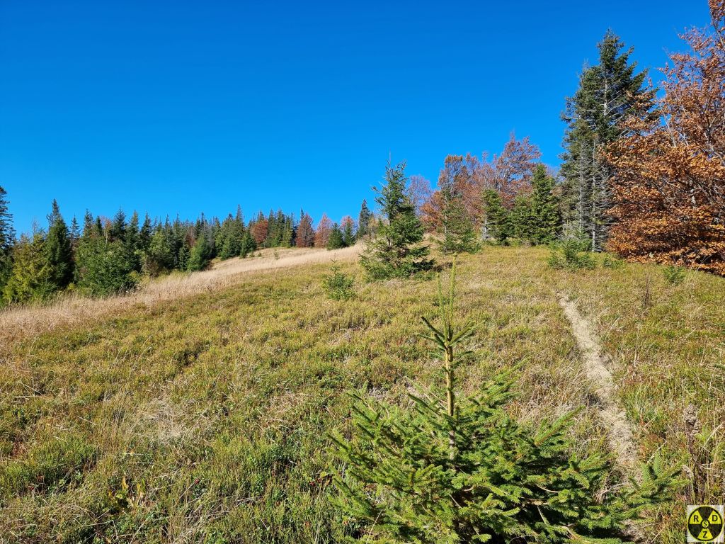Сопітські Полонини