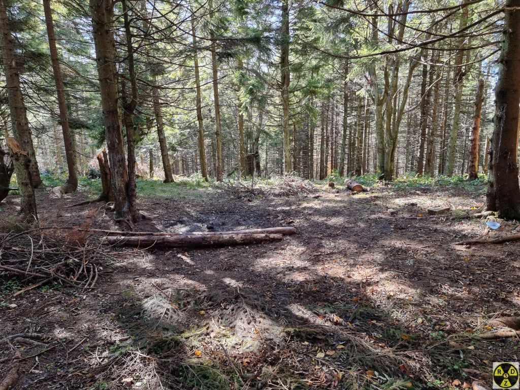 Місце для ночівлі в лісі на Сопітських Полонинах