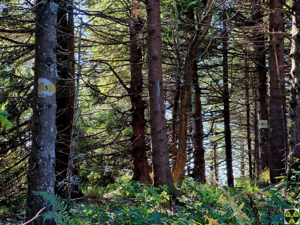 Вершина гори Високий Верх і старе маркування