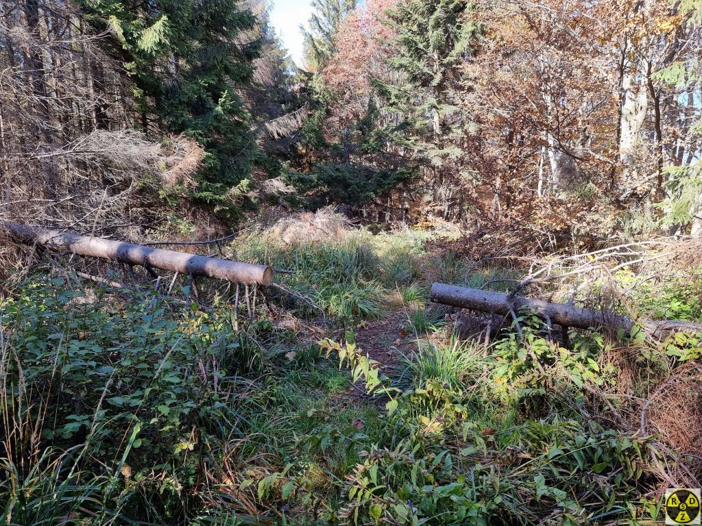 Прочищена дорога з гори Високий Верх до гори Лаз