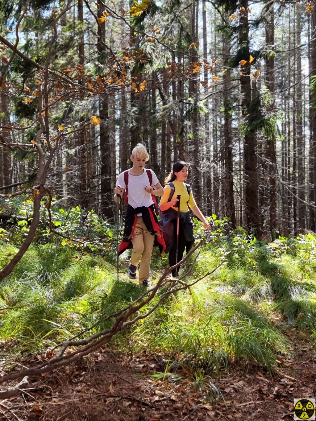 Після всіх поневірянь на підйомі ми нарешті безтурботно біжимо до гори Лаз