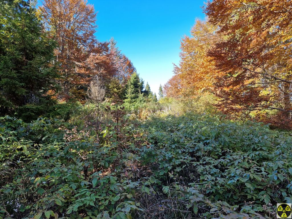 Ліва паличка букви "Л" на горі Лаз