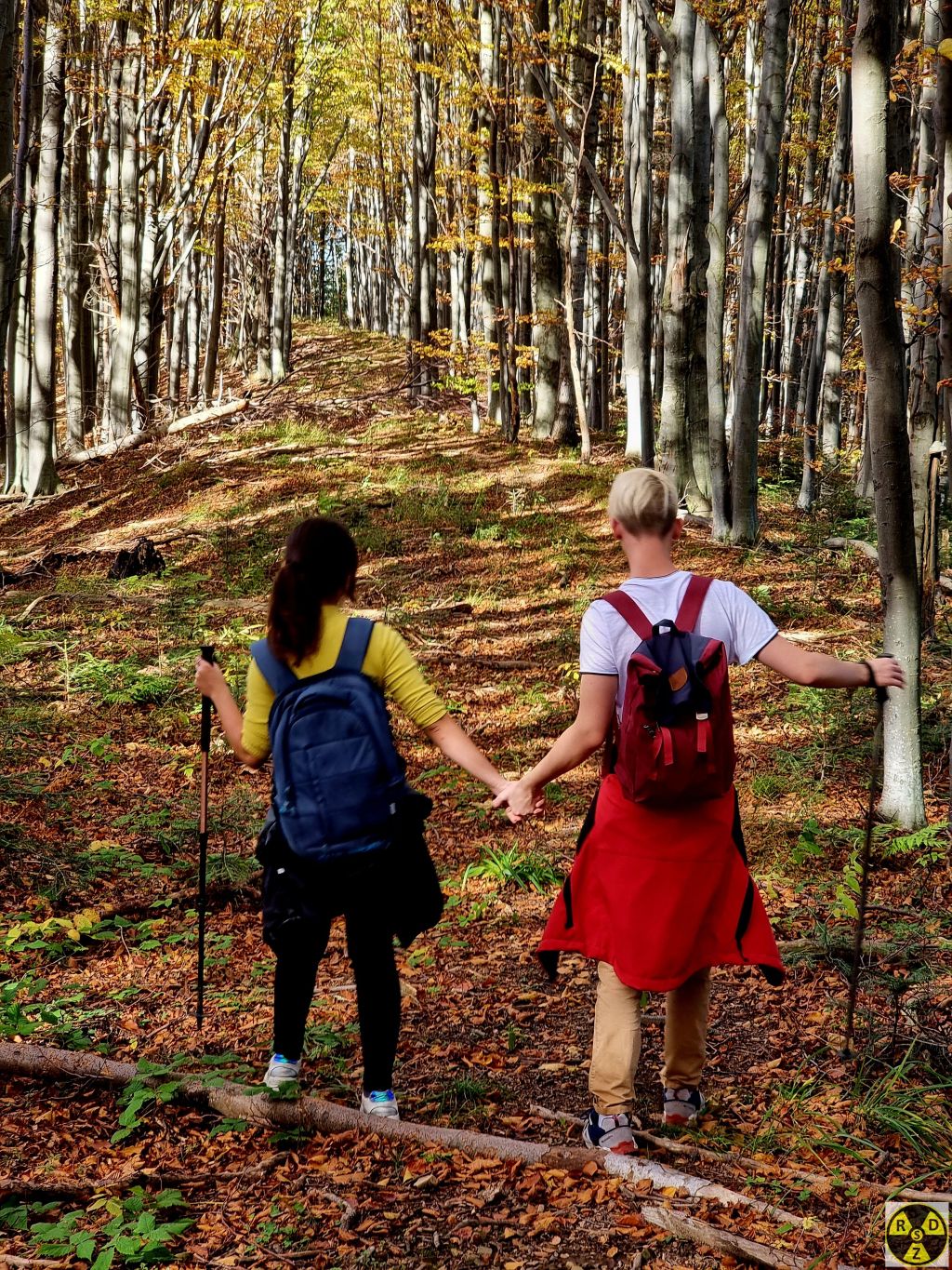 Десь на середині шляху стало полого і можна навіть було йти взявшись за руки