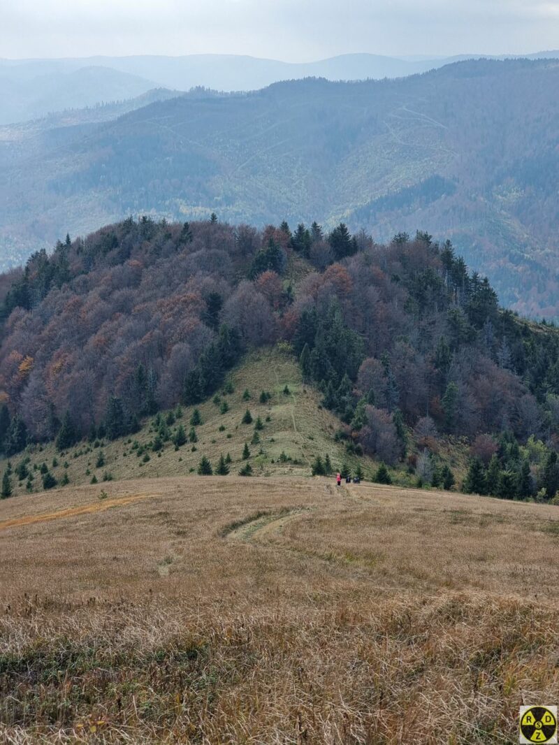 Парашка чи Параска?