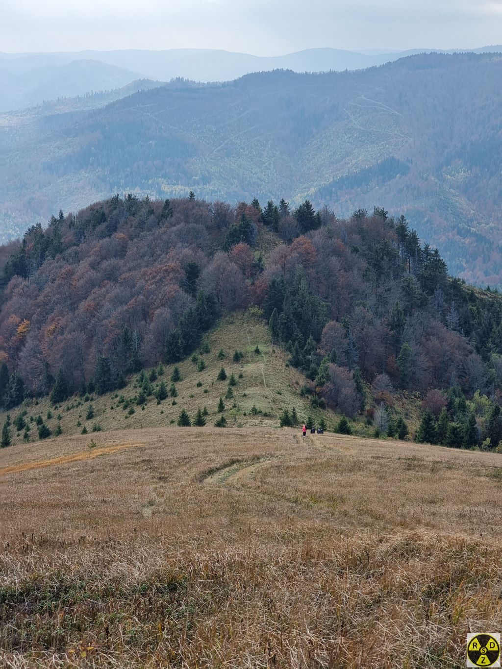 Спускатися сюди