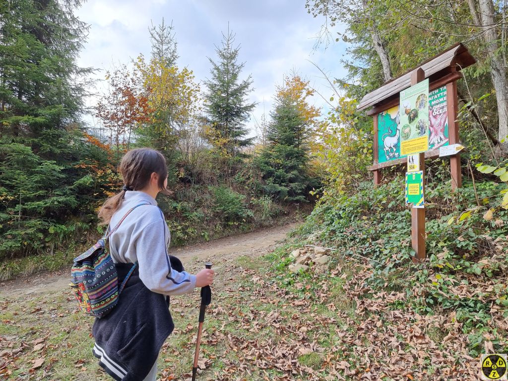 І вихід в урочище Розтіки до альтанок