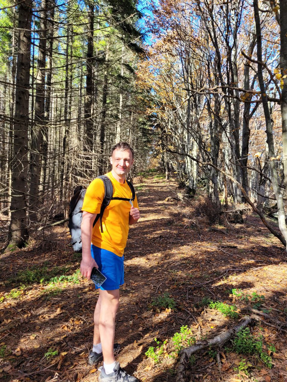 Прочищена дорога з гори Високий Верх до гори Лаз