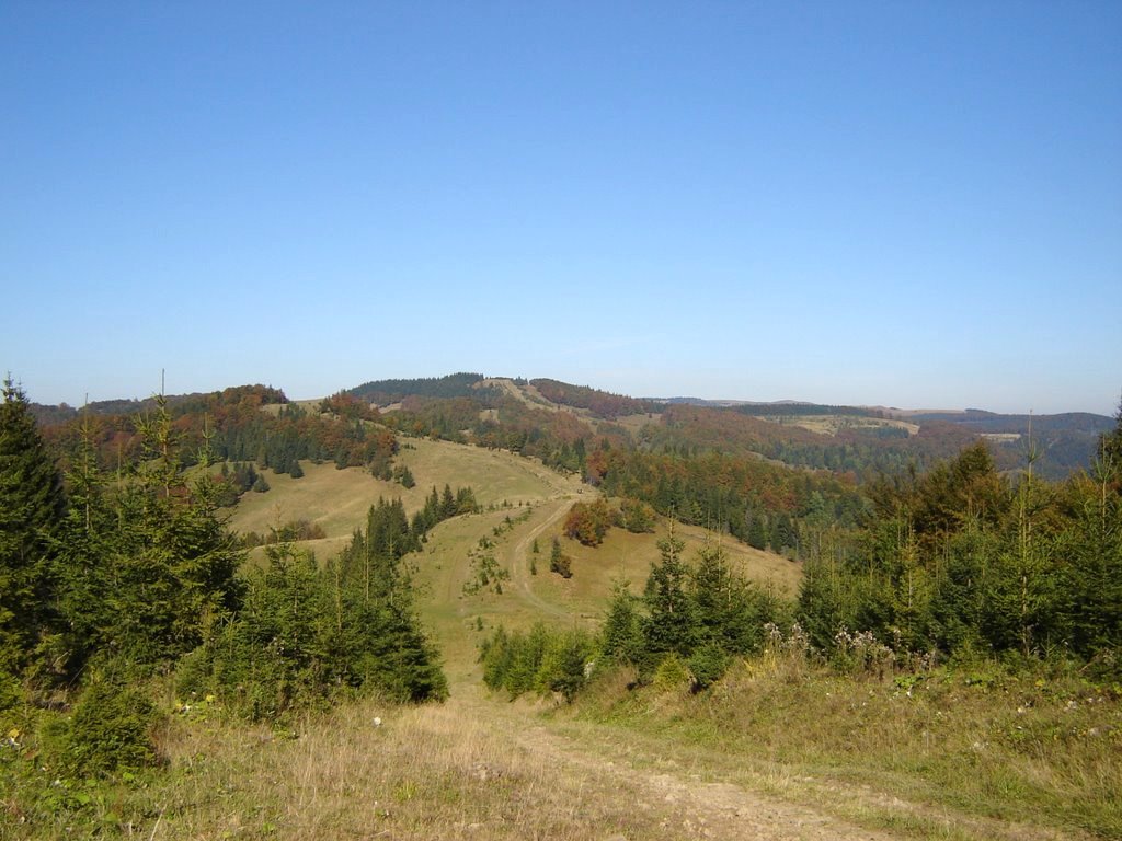 Хребет Бескид і гора Явірник