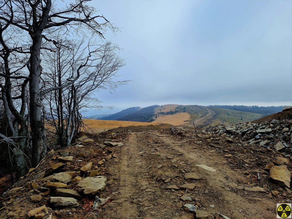 Шлях заказником Бердо від гори Плай