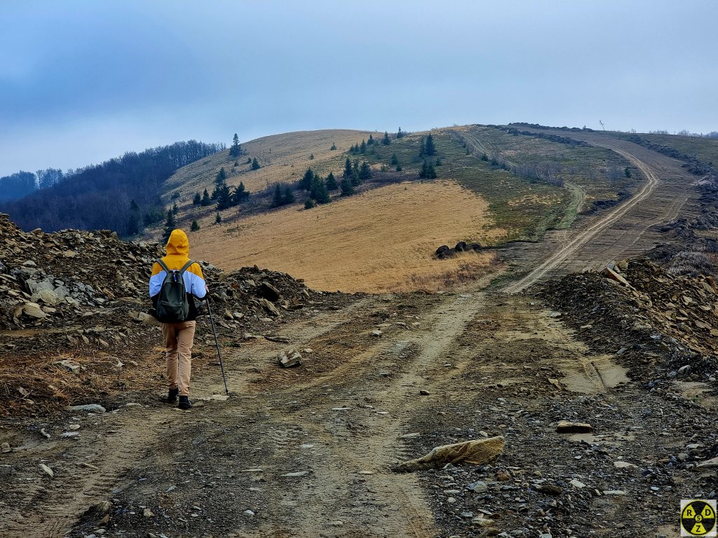 По заказнику Бердо пролягає гарна дорога майже без перепадів висоти
