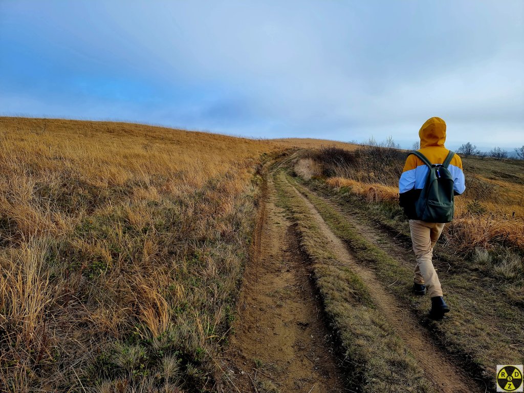 Минувши гору Станеша (1154м н.р.м) чимчикуємо Карпатським степом