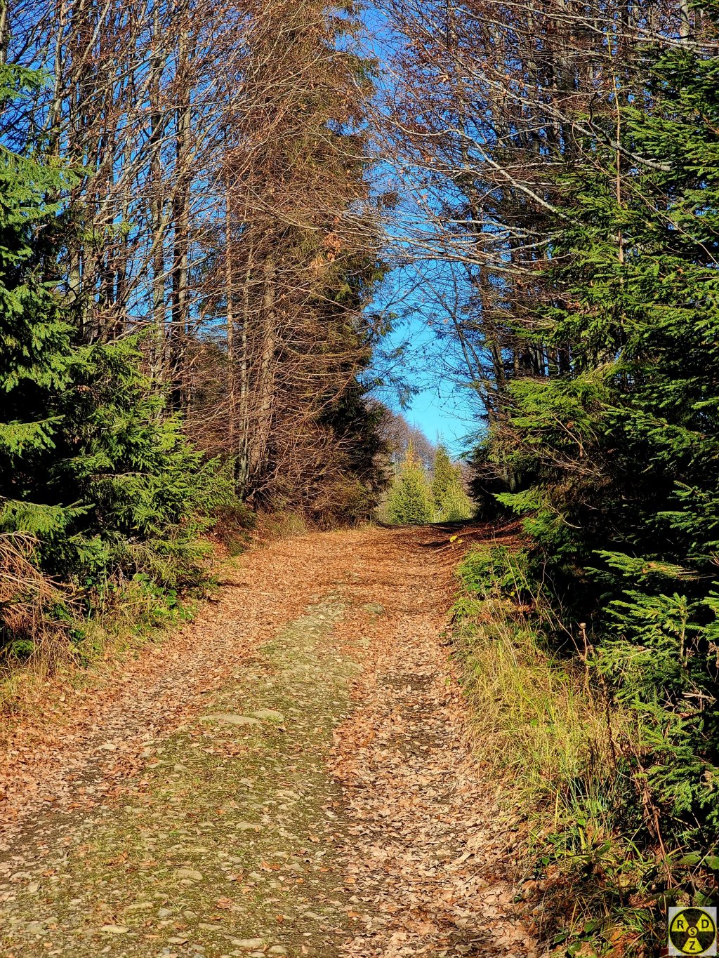 Дорога в село Лавочне