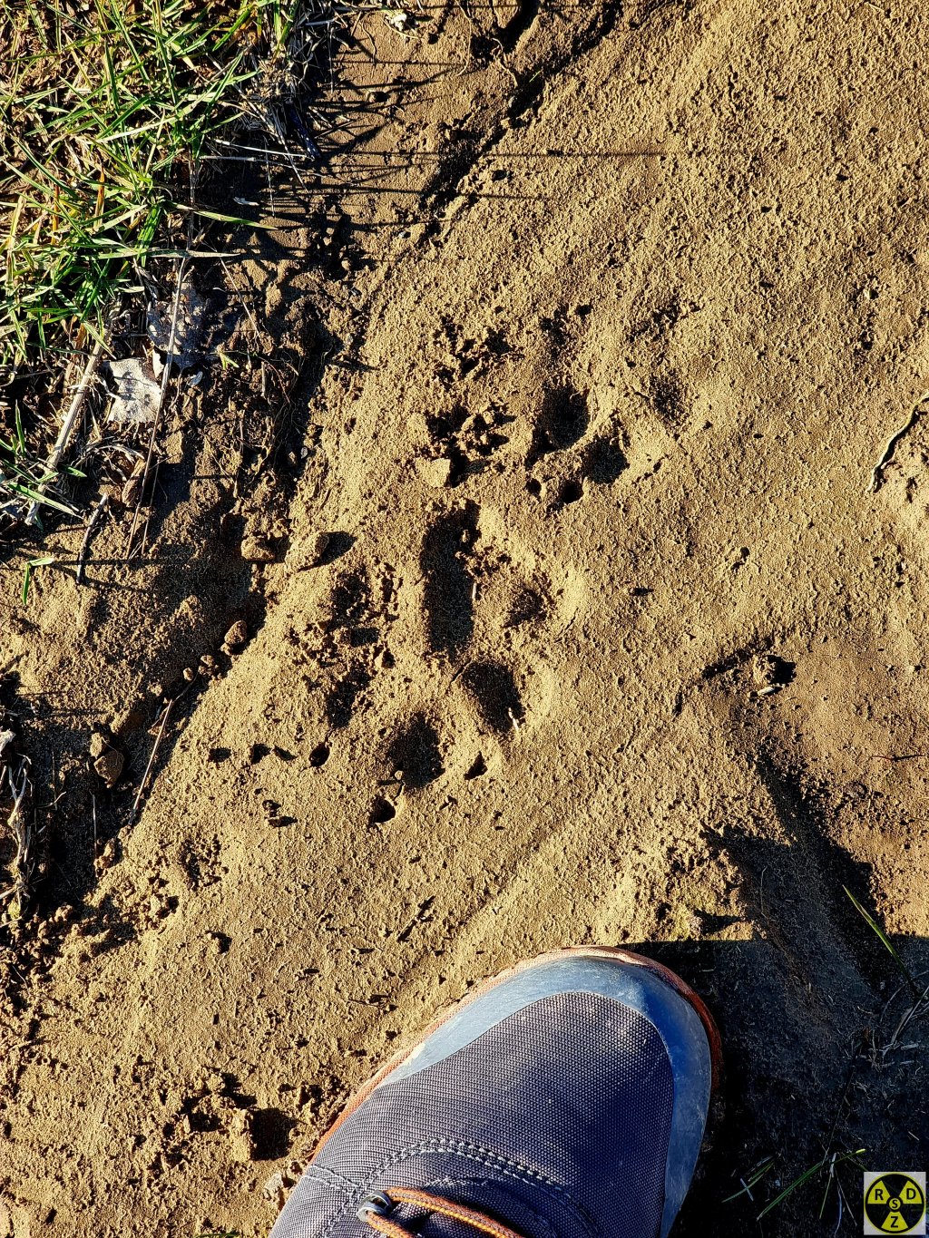 Турок-начальник на щирій Українській мові нас попереджав що тут є вовки