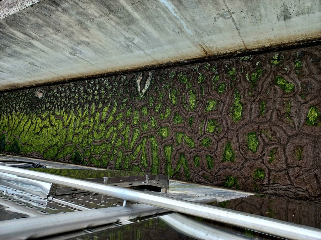 Власне, так виглядає зібраний намул