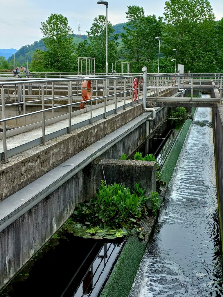 В ній, навіть, буяє життя!