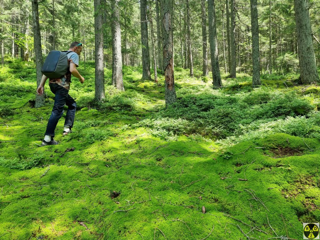 Далі ми звернули з дороги та мохуєнним лісом пішли навпростець