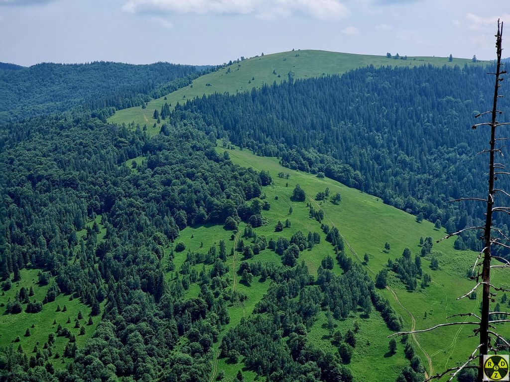 Полонина Гундякова. Праворуч від неї буде "шугаїв Камінь" де ми вже були