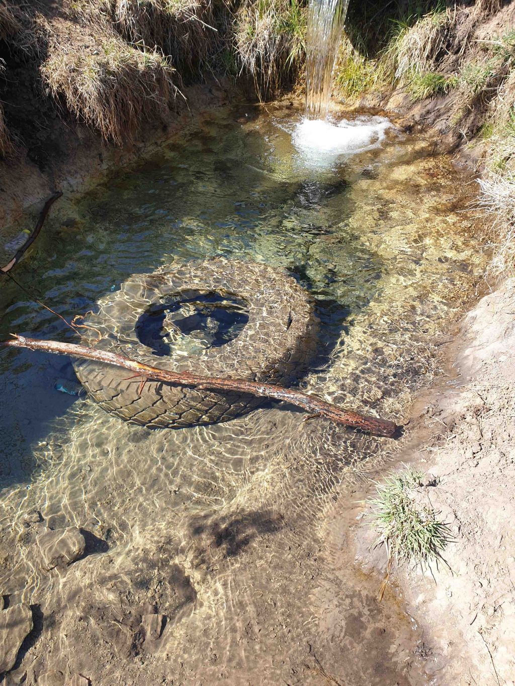 Це притока р. Зубра зі стадіону "Арена Львів". Такою ж чистою могла б бути і зубра, якби в неї не гадили. Більше фото тут