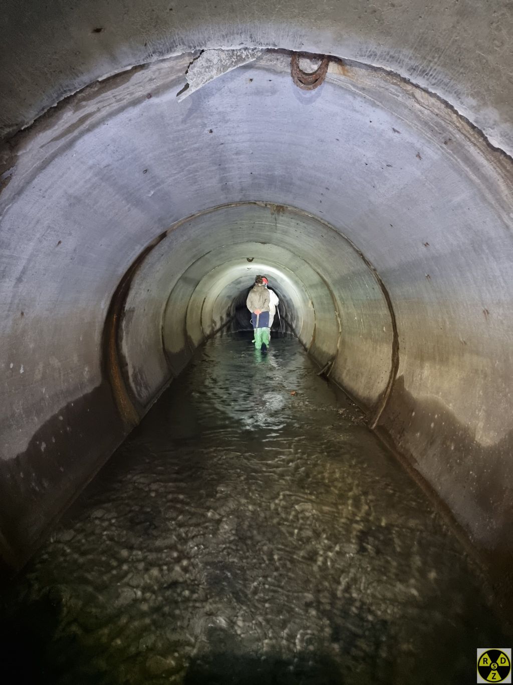 Приємна прогулянка пісочним дном по Зубрі
