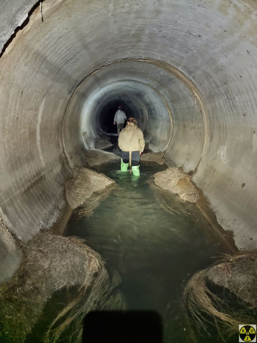 Нарости ґрунту та коріння в районі Сихівського мосту