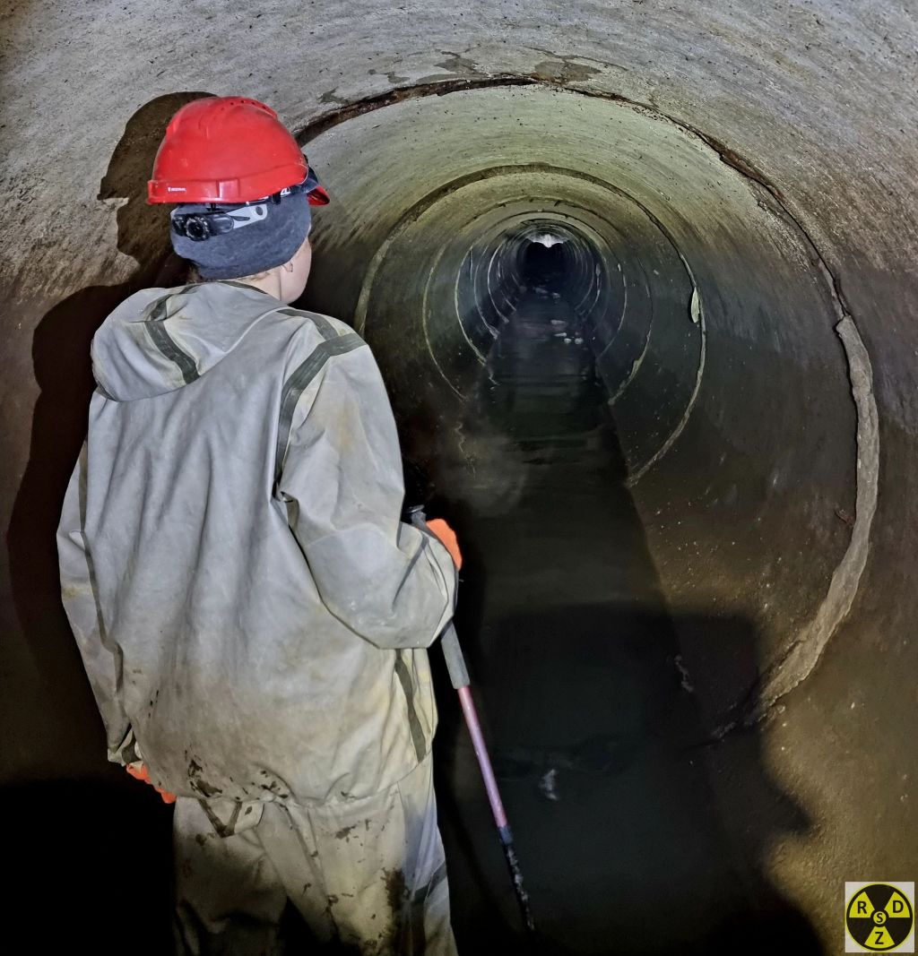 В колекторі нам трапилося кілька кажанів. Ось один із них