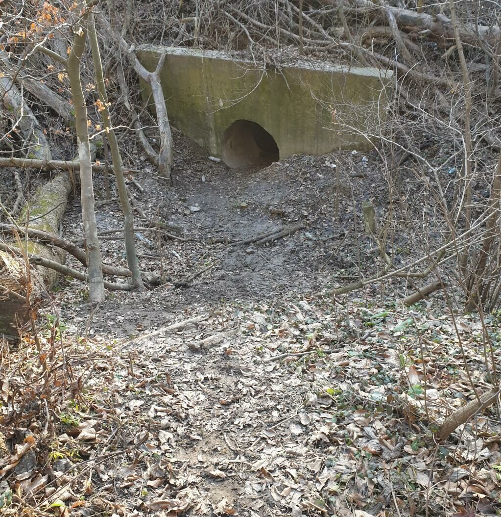 Розчищена стежка до тунелю зі сторони Чортових Скель, 2019 рік