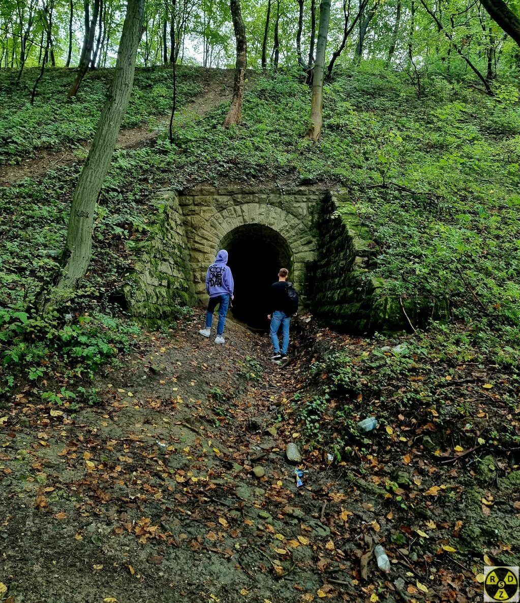 Вхід у тунель зі сторони Емілі Резорту, вид праворуч від автомобіля