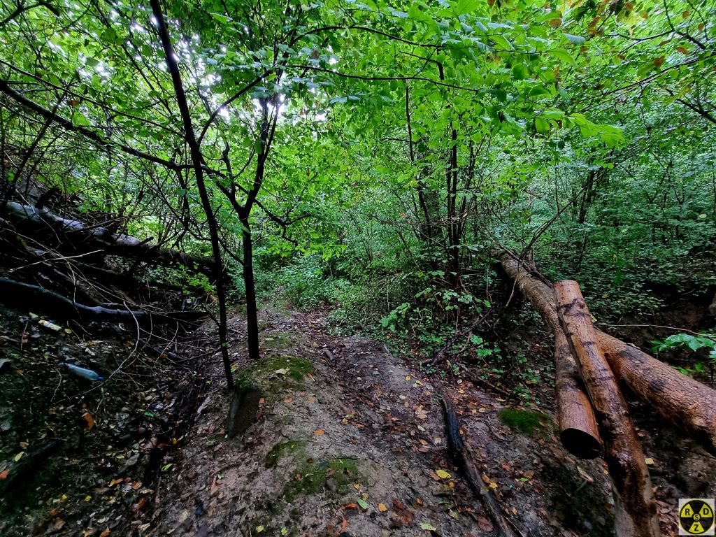 Та ж стежка, 2023 рік