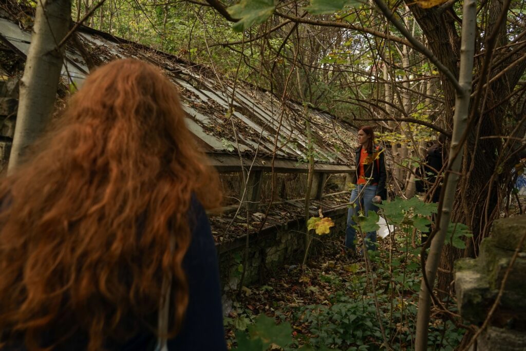 Сучасний стан теплиць