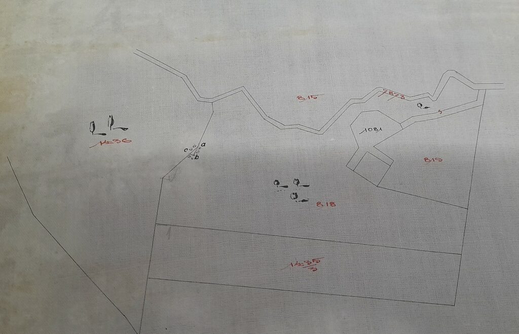 Ситуативний план парку “Залізна вода”. Ділянка Арнольда Рьорінга позначена цифрою 818. На цій ділянці починалось так зване “джерело Рьорінга”. 1911-го року Рьорінг передав цю ділянку Львівському магістрату для будівництва водопроводу з питною водою до електростанції на Персенківці