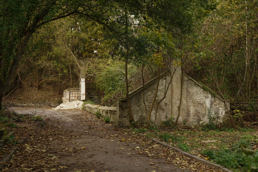Найбільші квіткові теплиці Львова, сучасний стан
