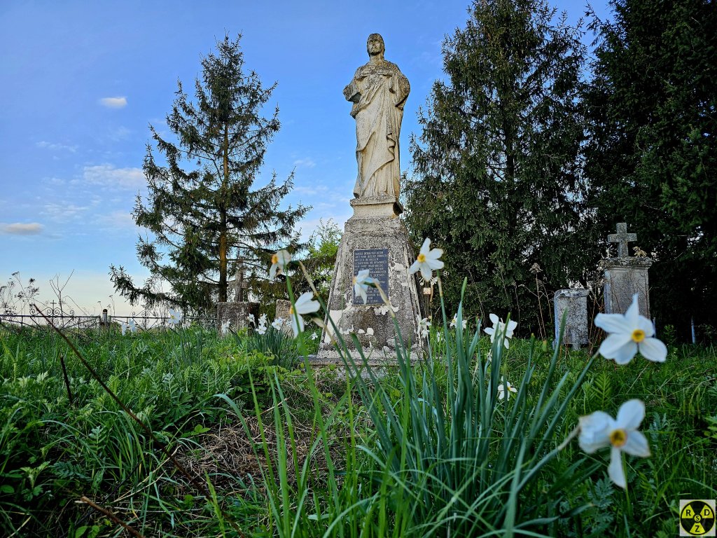 На чиїсь могилі виросли нарциси