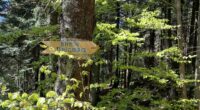 Dnister_sign