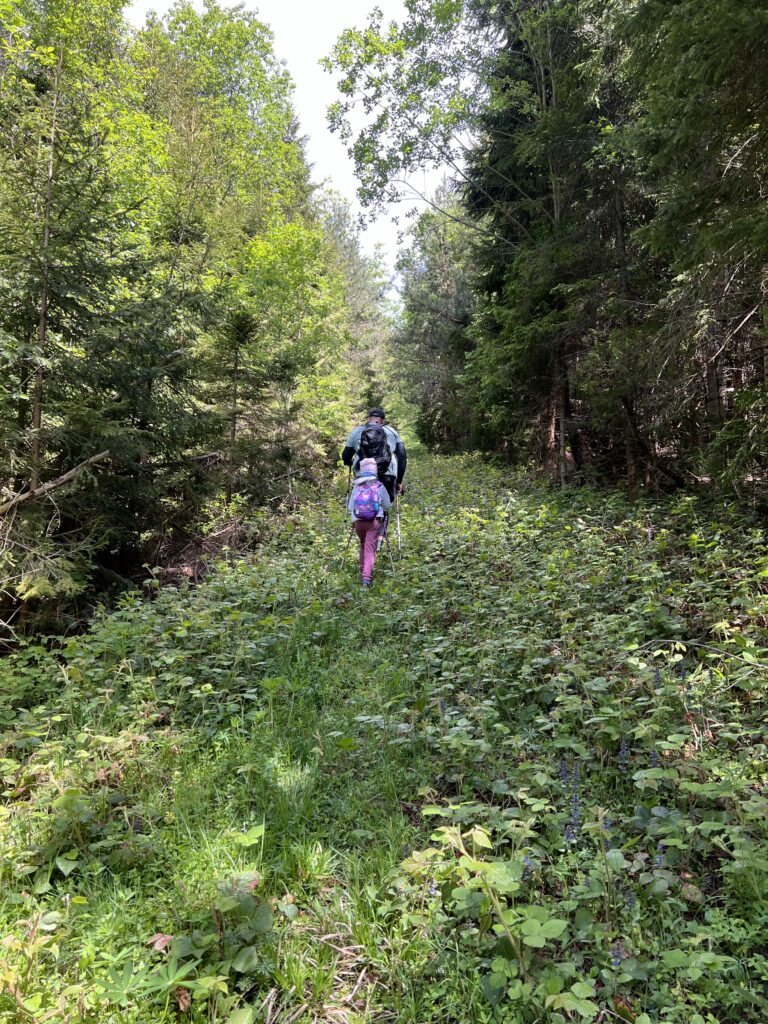 стежина до хребта