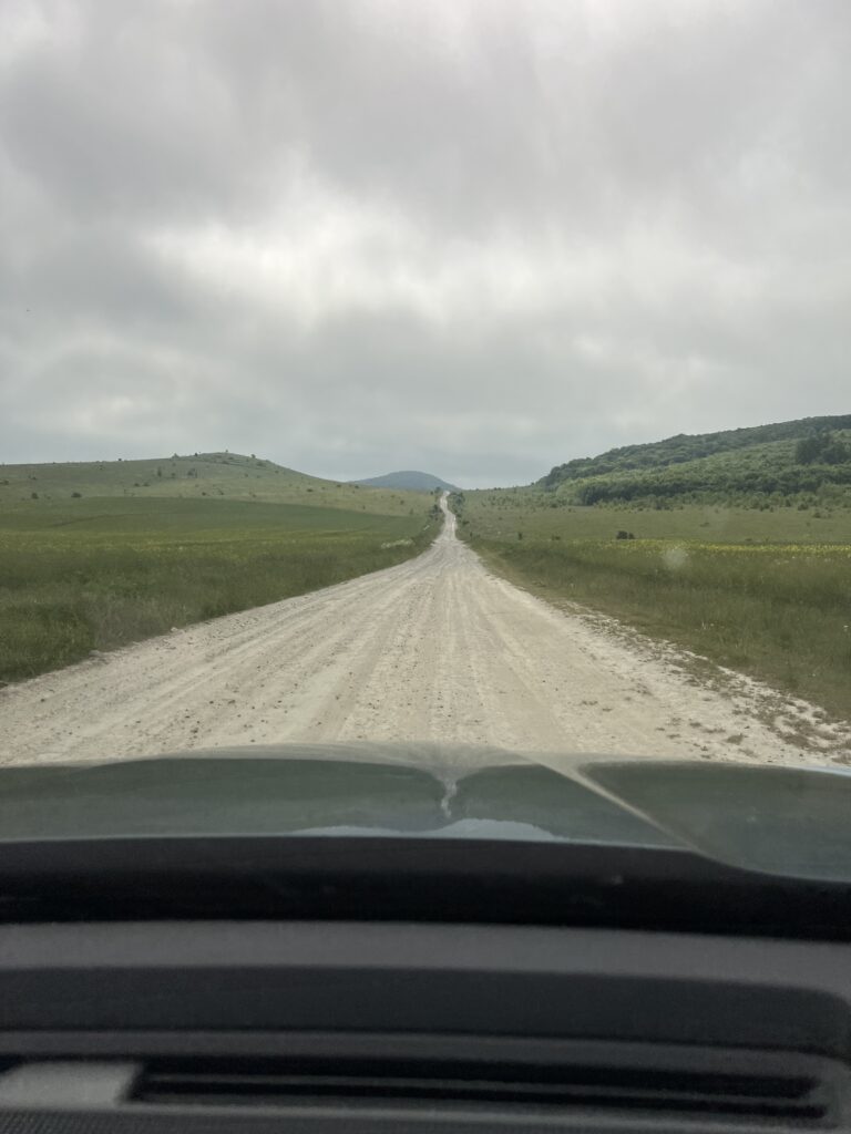 обабіч дороги зелені пагорби, які також є частиною НПП "Північне Поділля"