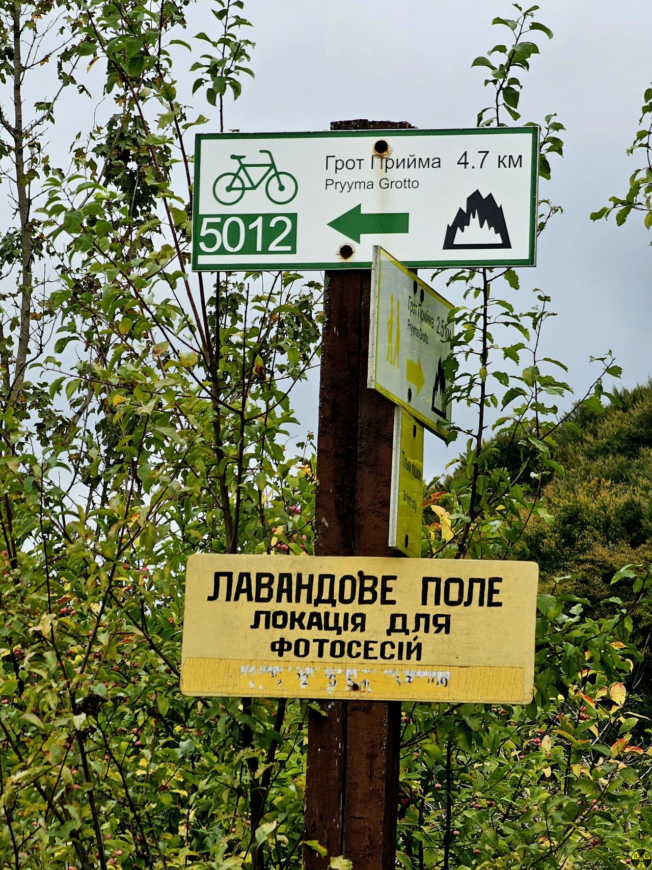 Вказівник початку маршруту. Він розташовується тут