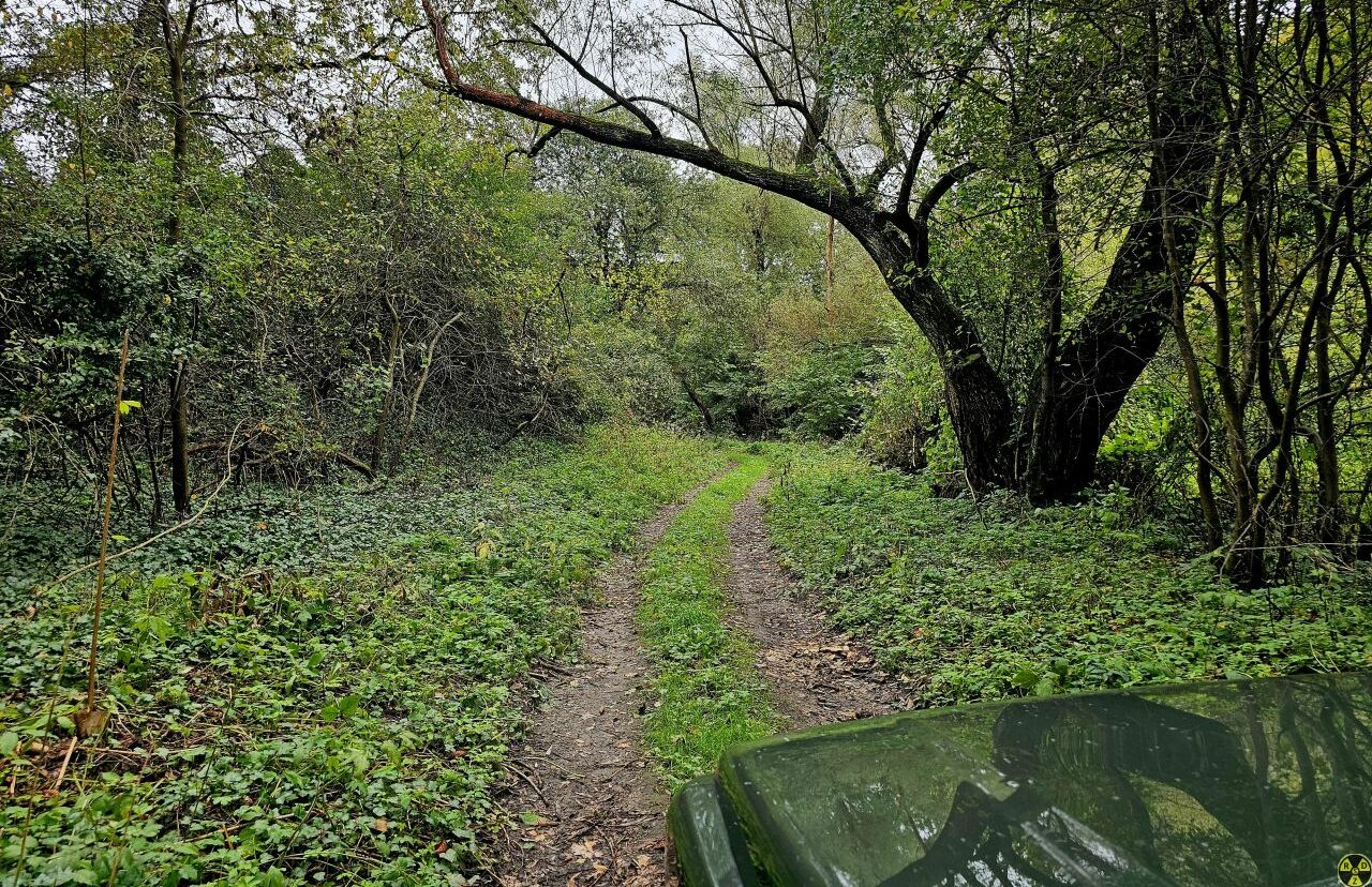 Дорога тут нормальна, навіть в дощ авто проїжджає