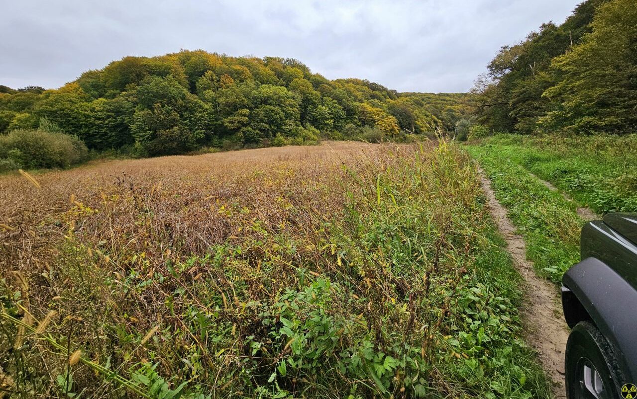Характерна галявина в кінці якої паркуємося