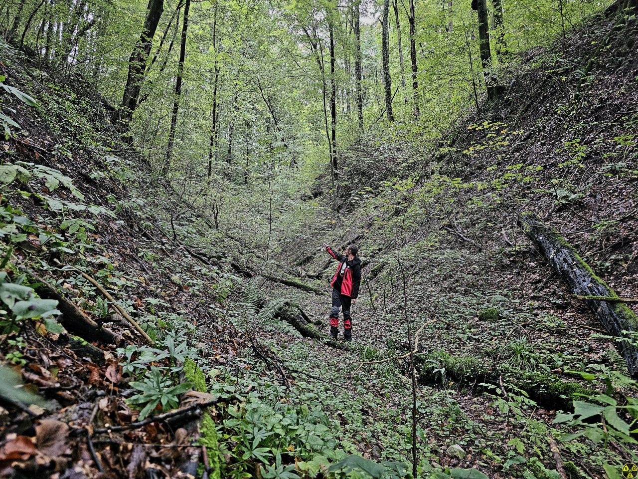 Каньйон там, але навіть цей яр вже вражає!