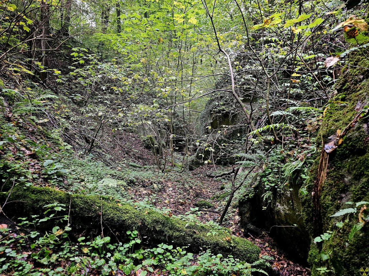 Ця дорога хоч і низом, але складніша. Бо туристи ще не витоптали тут стежку і прийдеться дертися буреломом